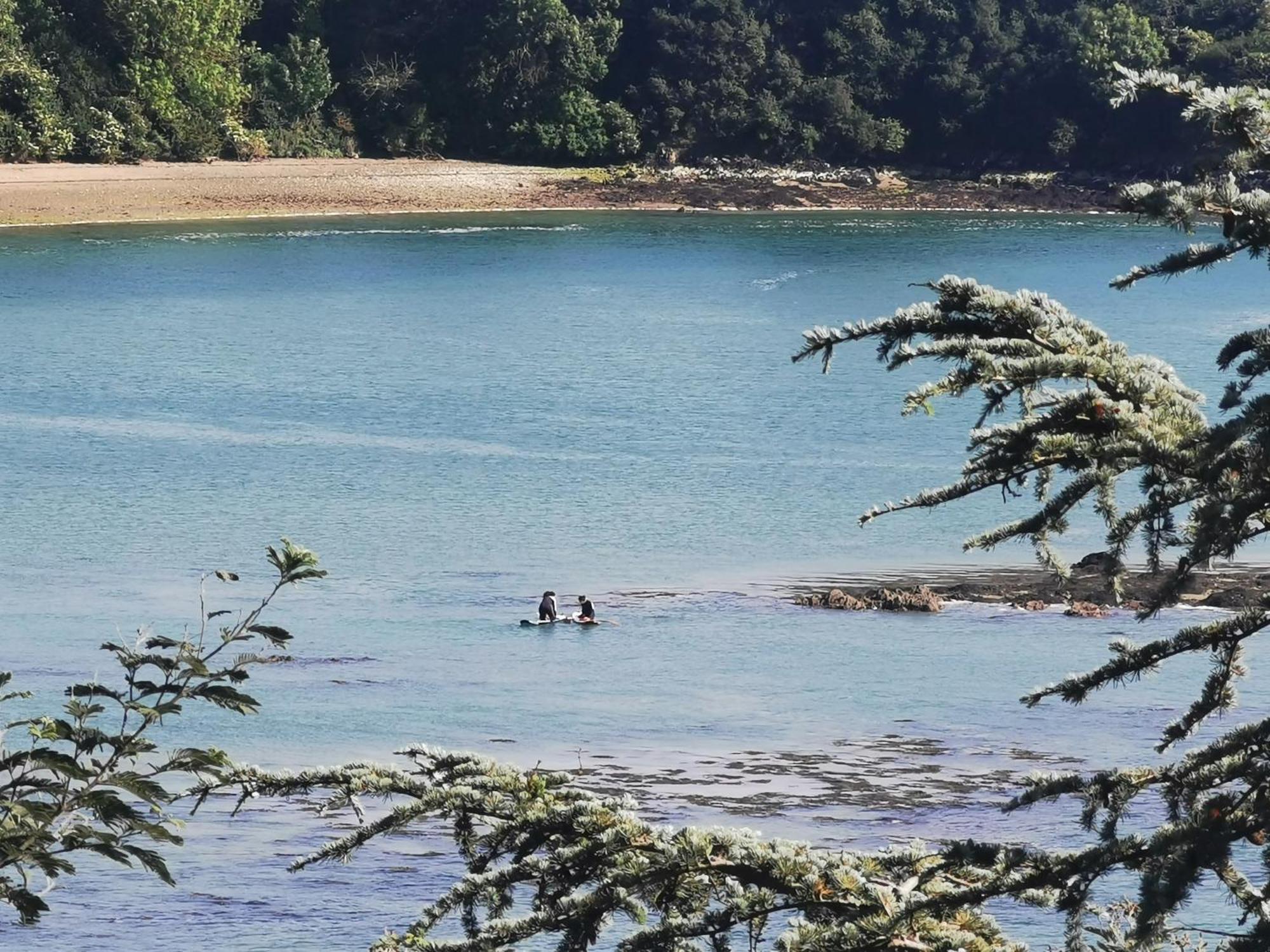 Les Pieds Dans L'Eau Daire Saint-Malo Dış mekan fotoğraf